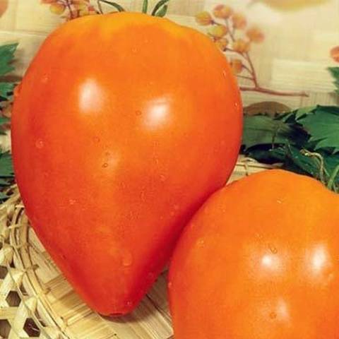 Orange hjärta